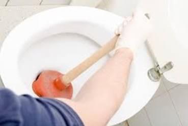 Cara Alami Mengatasi Septic Tank Tersumbat Tanpa Sedot
