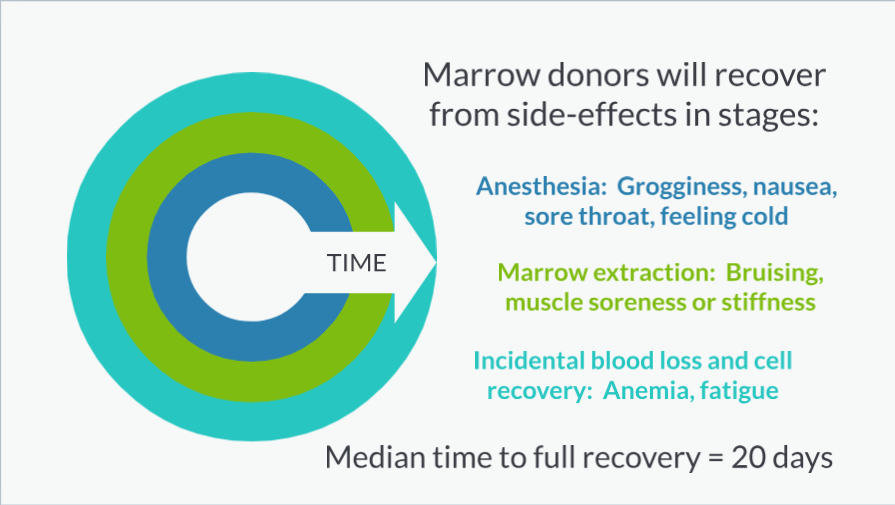 Detailed Description Of New Donor Registration And Testing And Steps Of Bone Marrow And Pbsc Donation