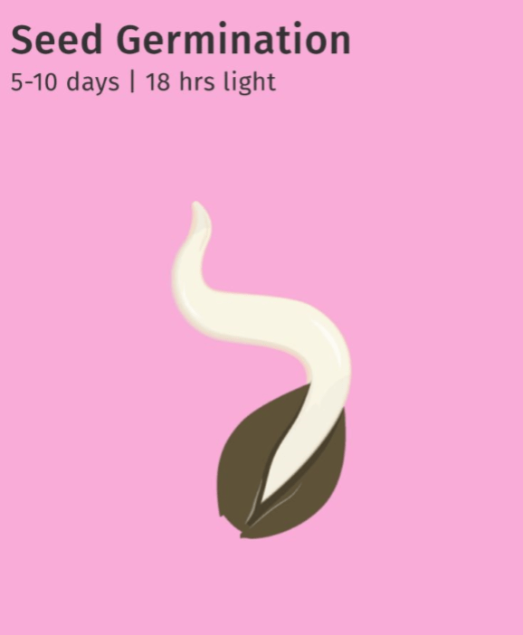 Source : Leafly Source : Leafly