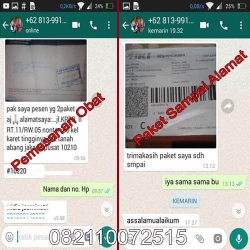 Bibit Pemutih Aman Untuk Ibu Hamil