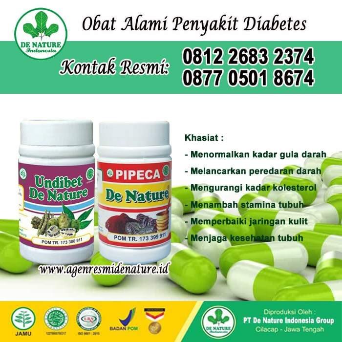 Lengkap Cara Mengobati Diabetes Kering Dengan Herbal Alami Obat Diabetes Ampuh Obat Diabetes Basah Obat Diabetes Kering