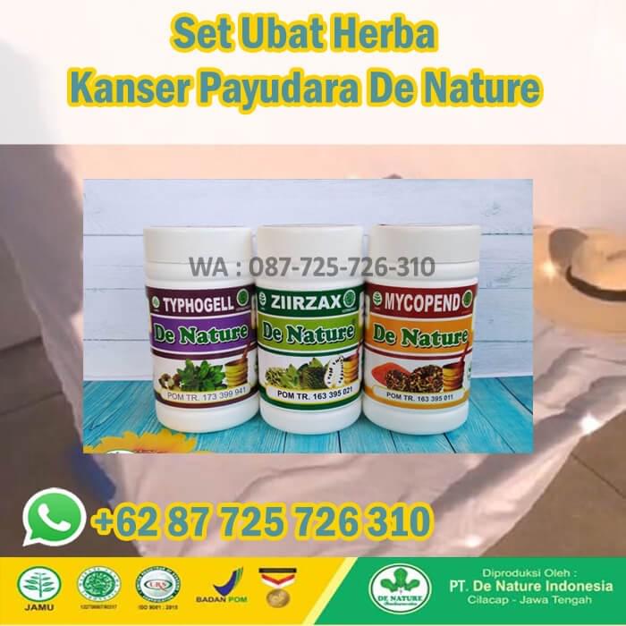 Jenis Ubat Ubatan Untuk Mencegah Kanser Payudara Dalam Kalangan Wanita Ubat Kanser Farmasi Punca Barah Malaysia Punca Kanser Ubat Barah Berkesan Ubat Kanser Berkesan