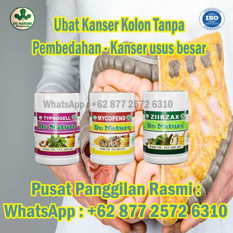 Barisan Gejala Barah Usus Besar 12 Jari Termasuk Sakit Anoreksia Mual Anemia Pendarahan Penyakit Kuning Penurunan Berat Badan Ubat Kanser Farmasi Punca Barah Malaysia Punca Kanser Ubat Barah Berkesan Ubat Kanser Berkesan