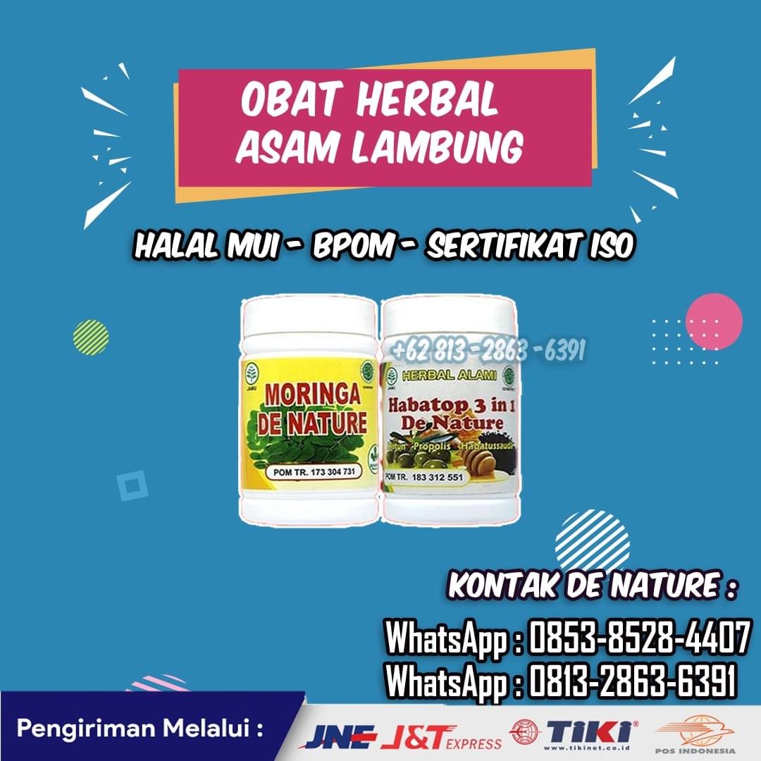 Kumpulan Nama Obat Asam Lambung Tukak Lambung Maag Kronis Gerd Asli Original De Nature