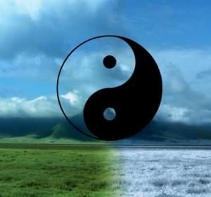Pregnancy Fertility Fertility Treatment Centre Siobhan Kehoe Acupuncture Herbs