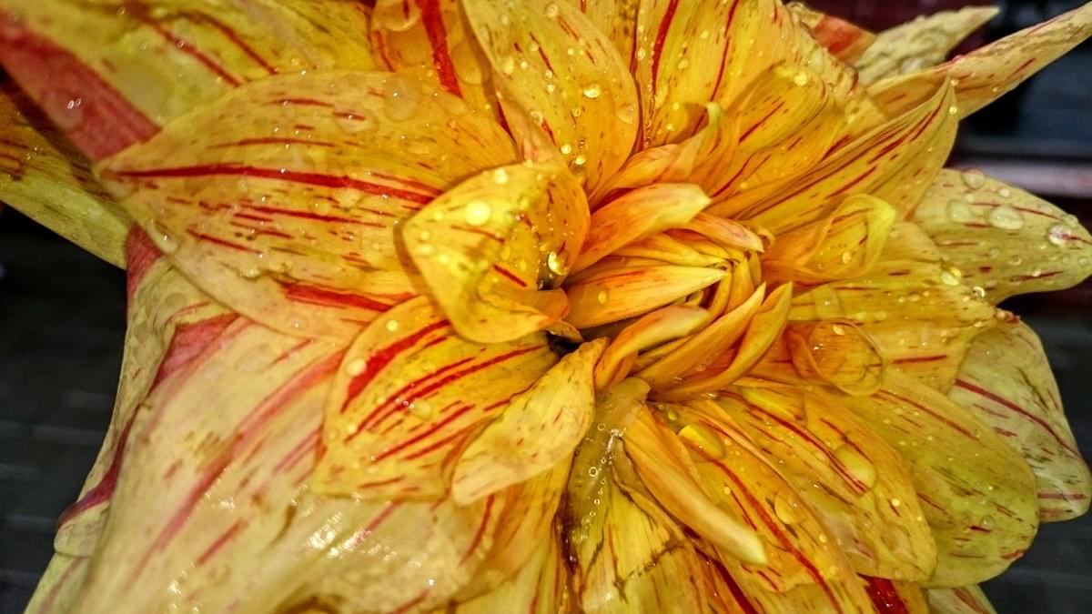 Khurram's Portfolio on Strikingly