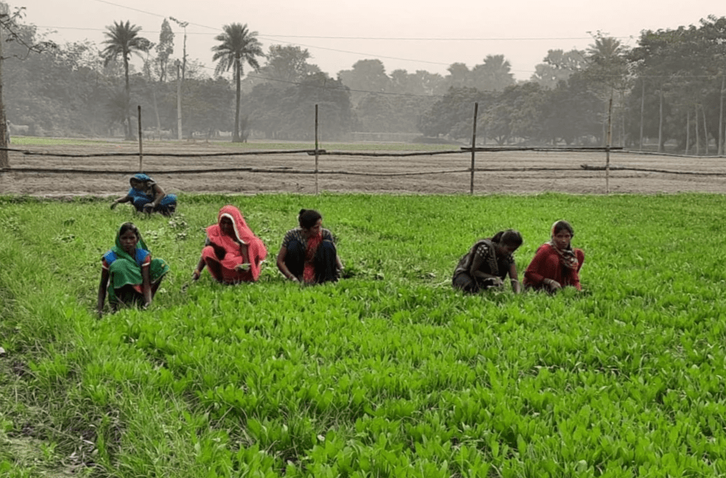 Careers at Oorja Oorja Development Solutions Limited