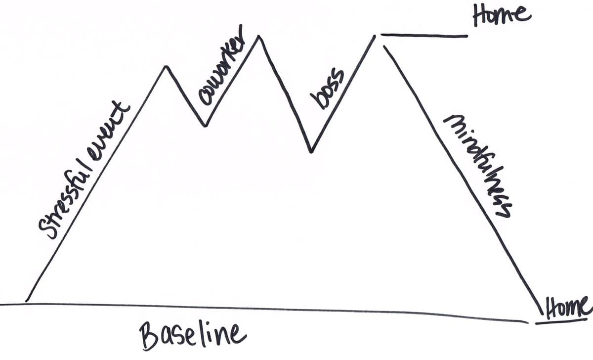 Stress Debunked - stress self help mental health cortis...