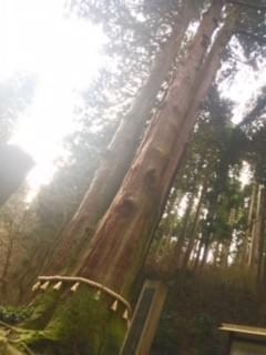 光の柱 方位取り 御岩神社