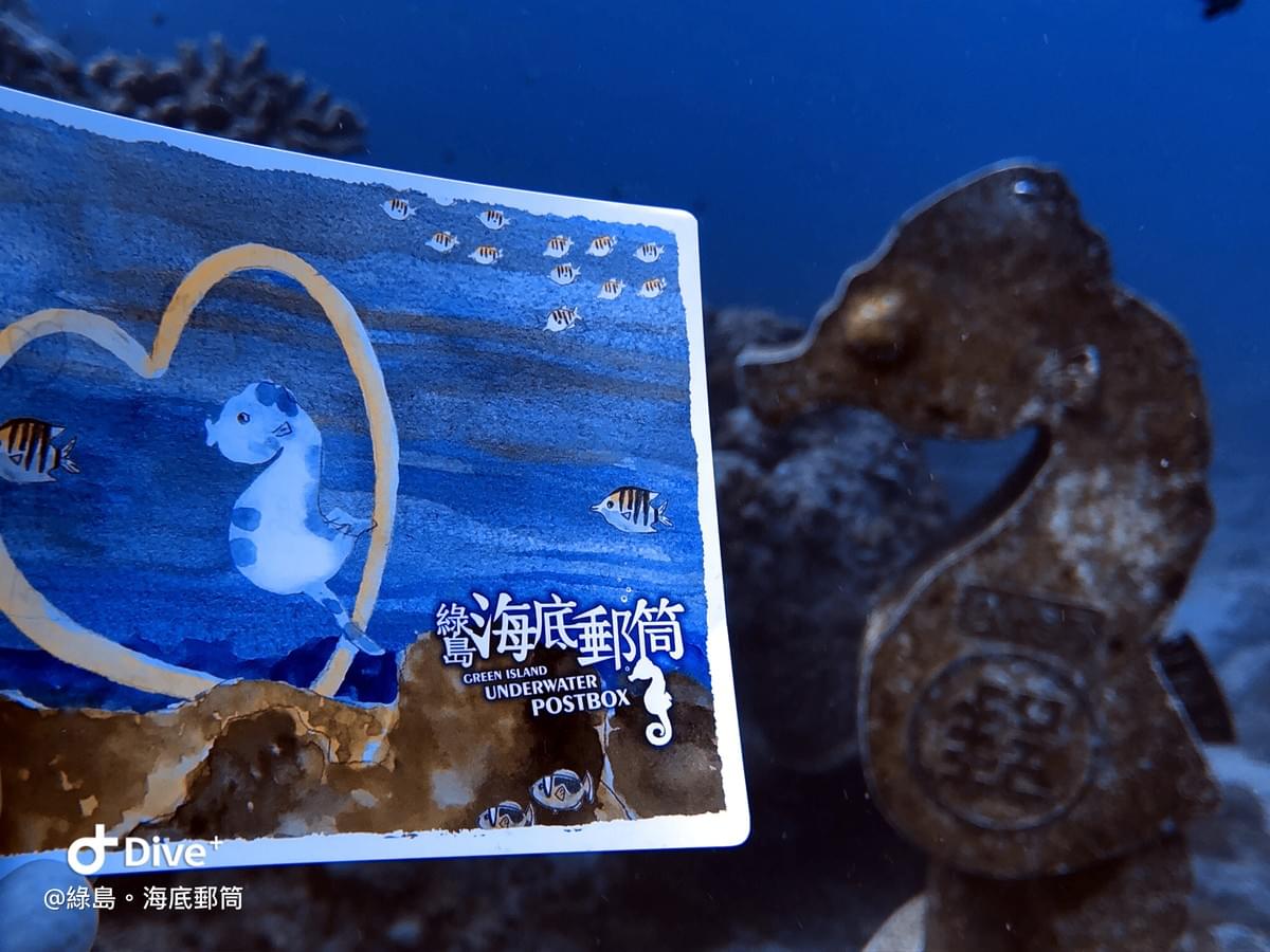 49 Underwater Postbox Diving Log