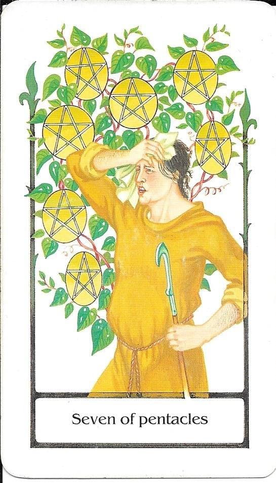 seven of pentacles