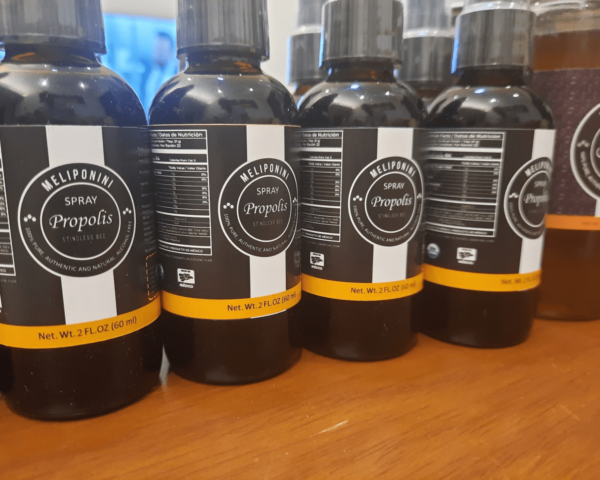 Melipona Stingless Bee Raw Propolis Melipona Stingless Bee Raw Propolis