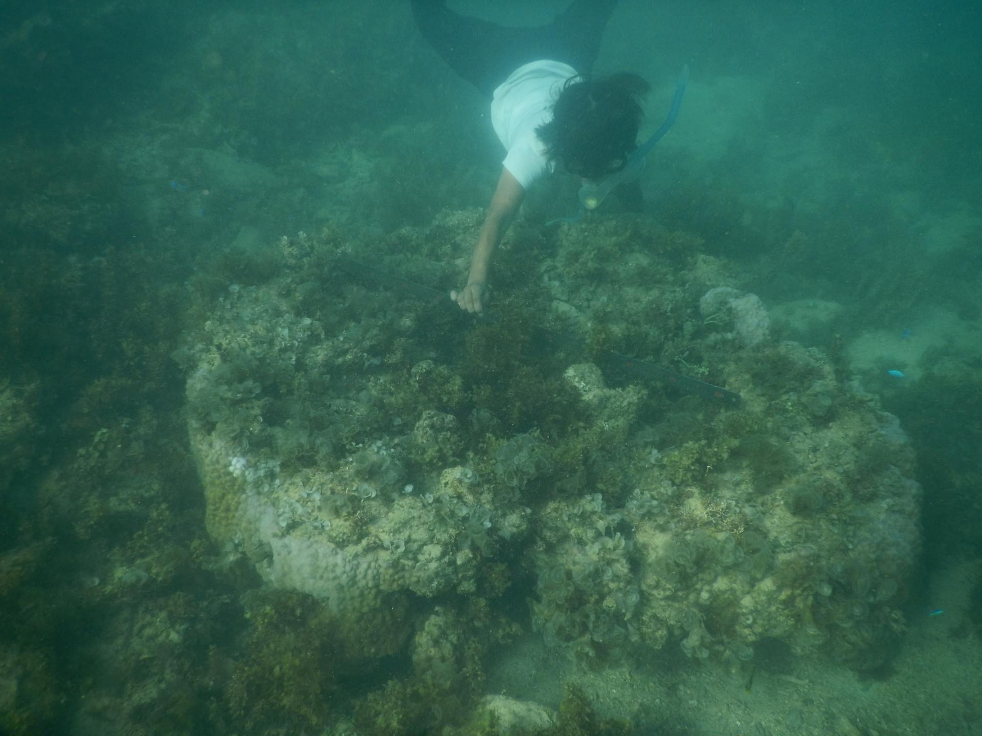 沖縄 辺野古声明18 辺野古の海への土砂投入計画並びに新基地建設計画の白紙撤回を求める声明 On Strikingly