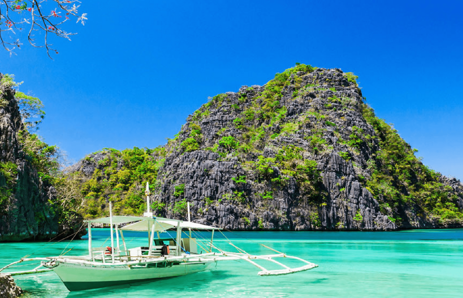 フィリピン最後の楽園パラワン コロン島 の日本語ツアー On Strikingly