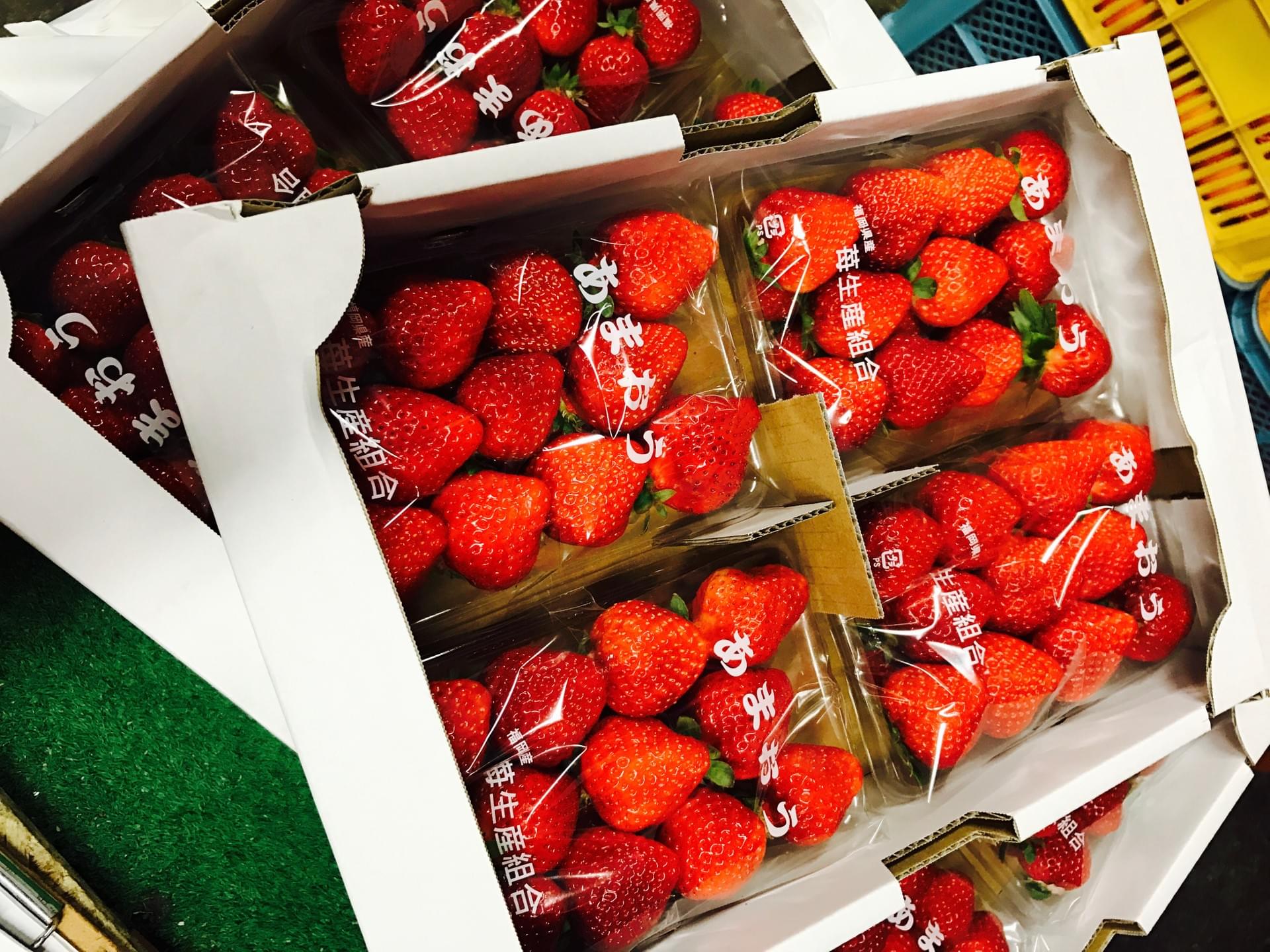 八百屋ｼﾞｬｲｱﾝ On Strikingly