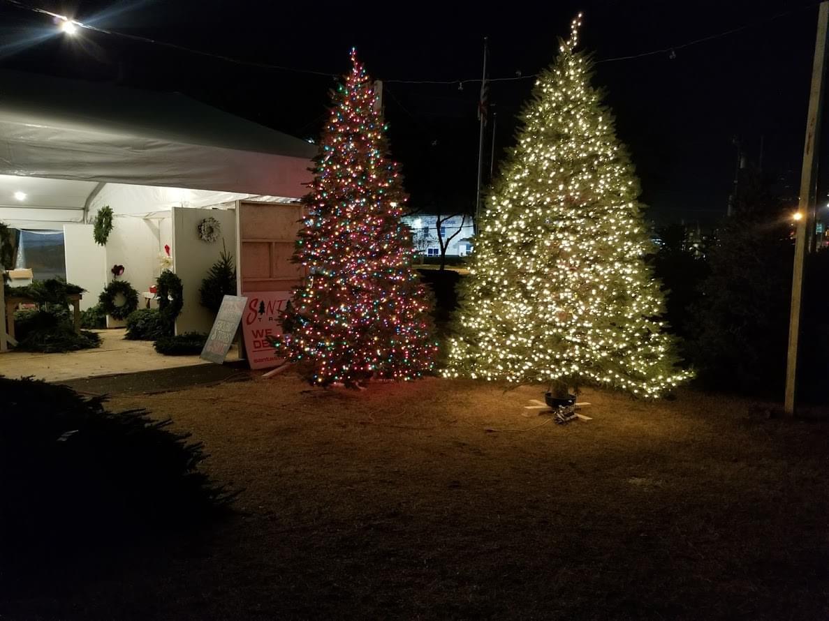 Santa S Christmas Trees