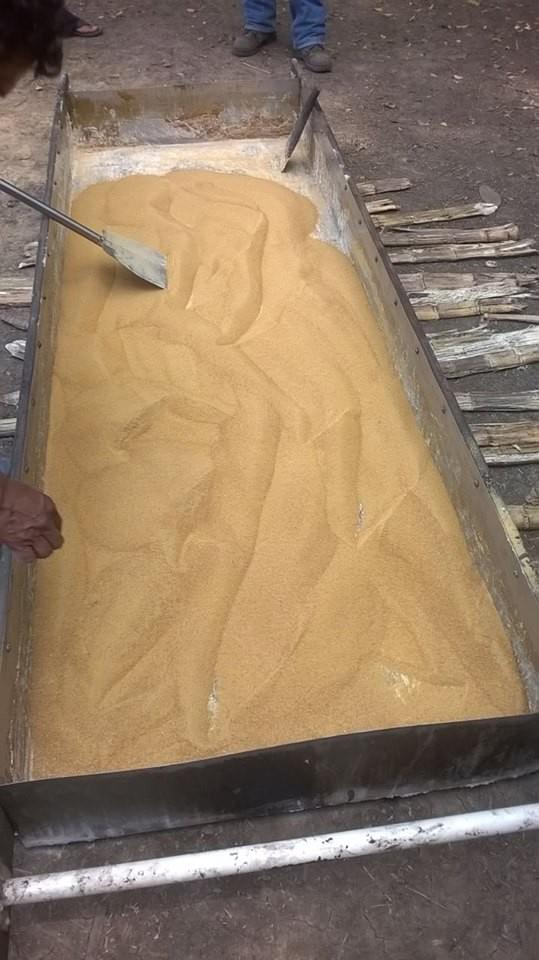 Granulated Fine Grain Piloncillo 100% Cane Juice 0.5 to 3 cm Kosher ...