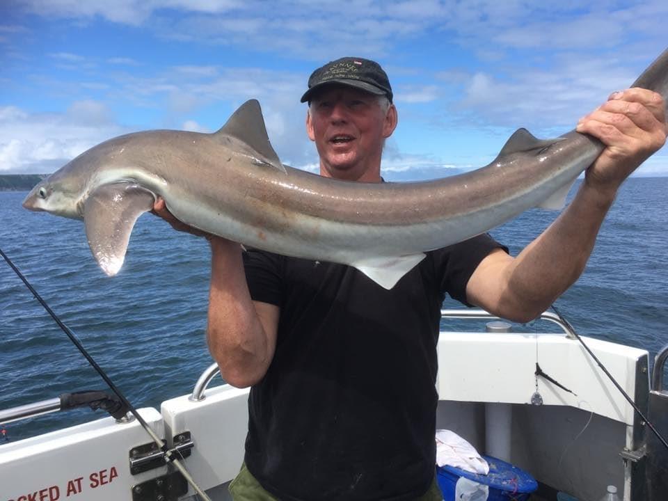 Bluefin Charters Deepsea Charter Fishing From Ilfracombe Harbour