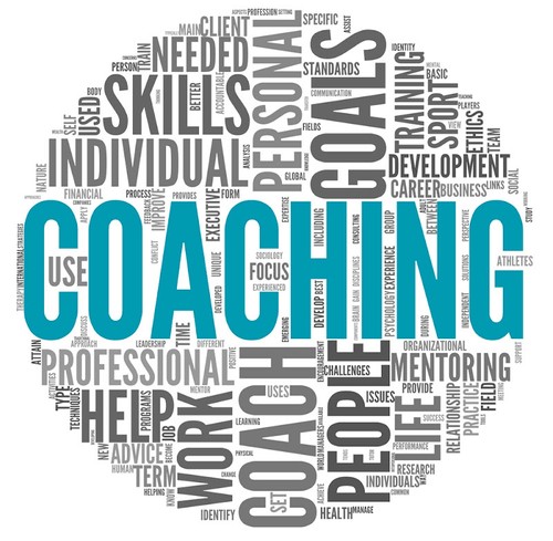 Life Coach