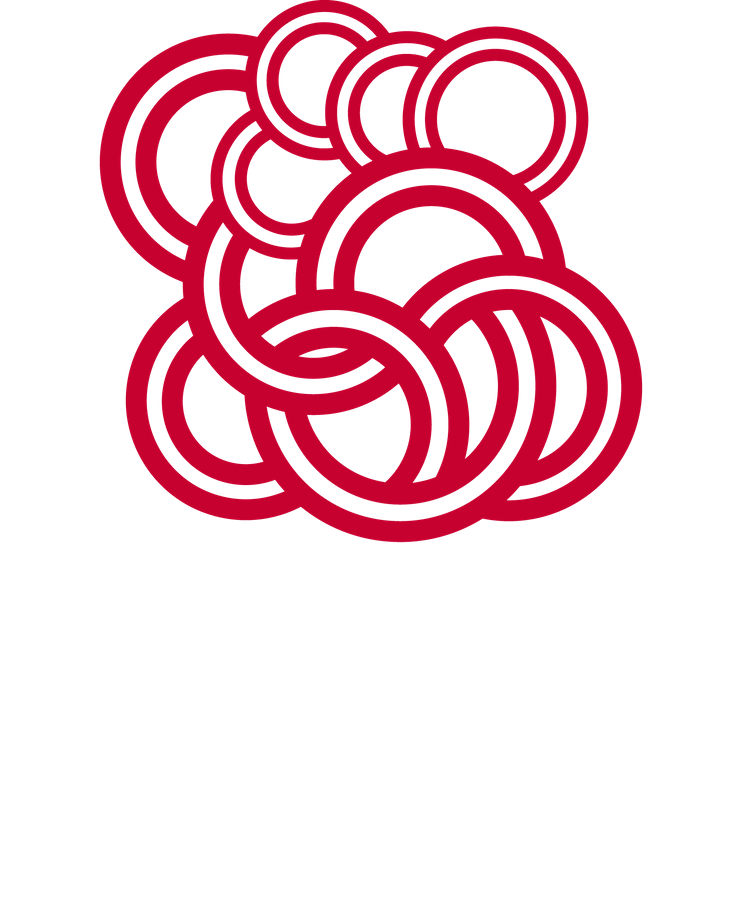 the CHAOS ASIA 2014 by Diixi