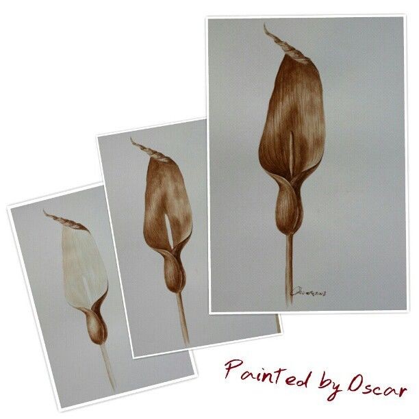 水彩紙本 Watercolour on paper