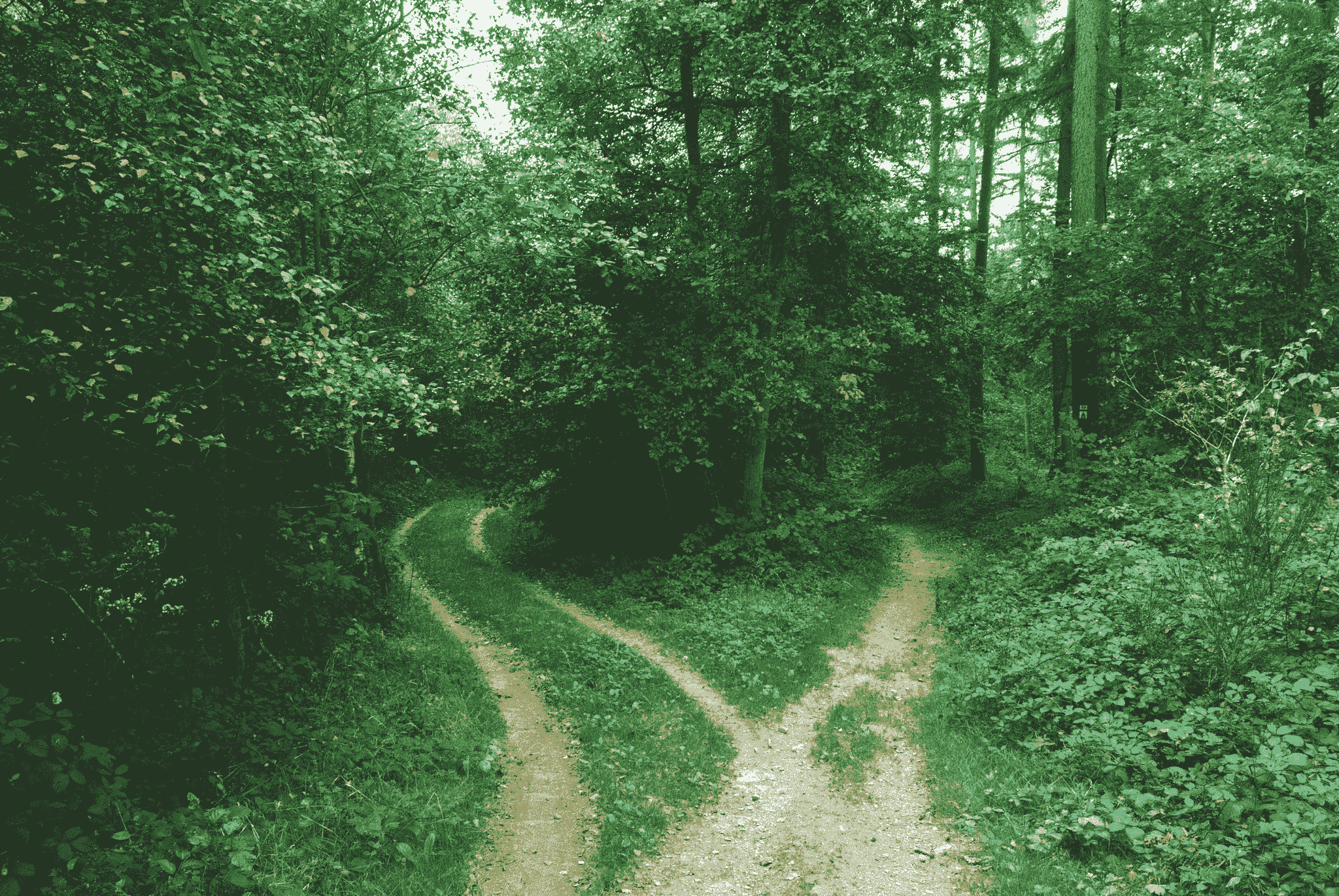 China sourcing agent vs trading company differences - Choosing the Right Partner