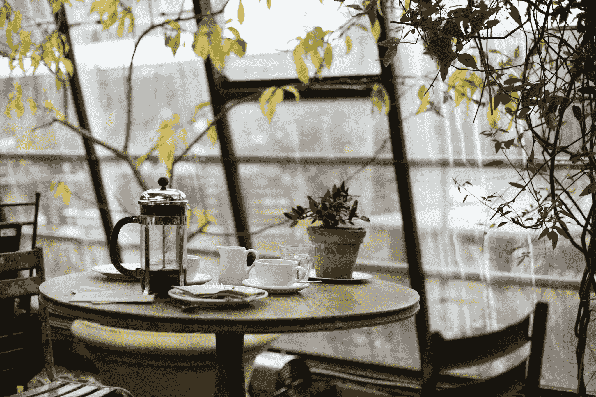 small container coffee shop design featuring sustainable elements like upcycled materials