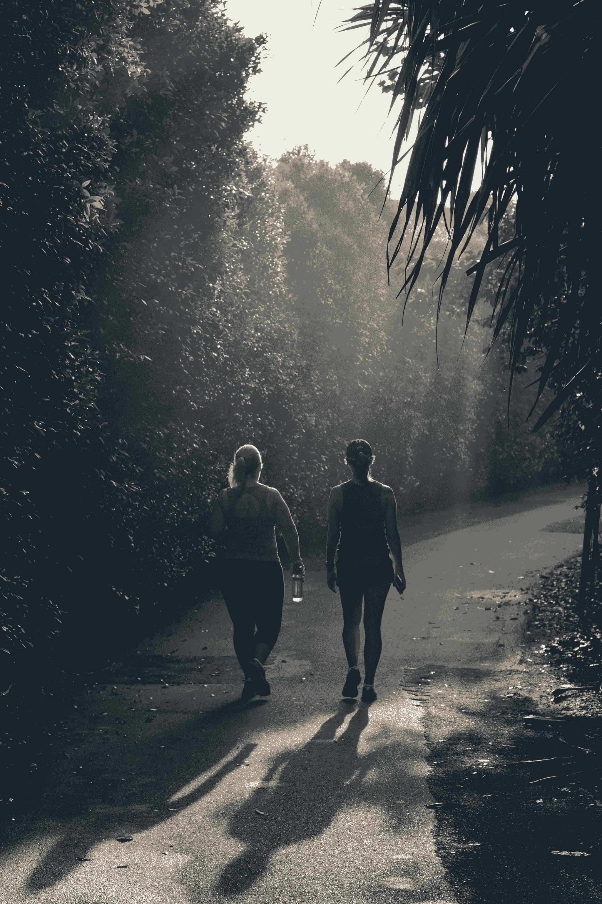 Mentor Walk