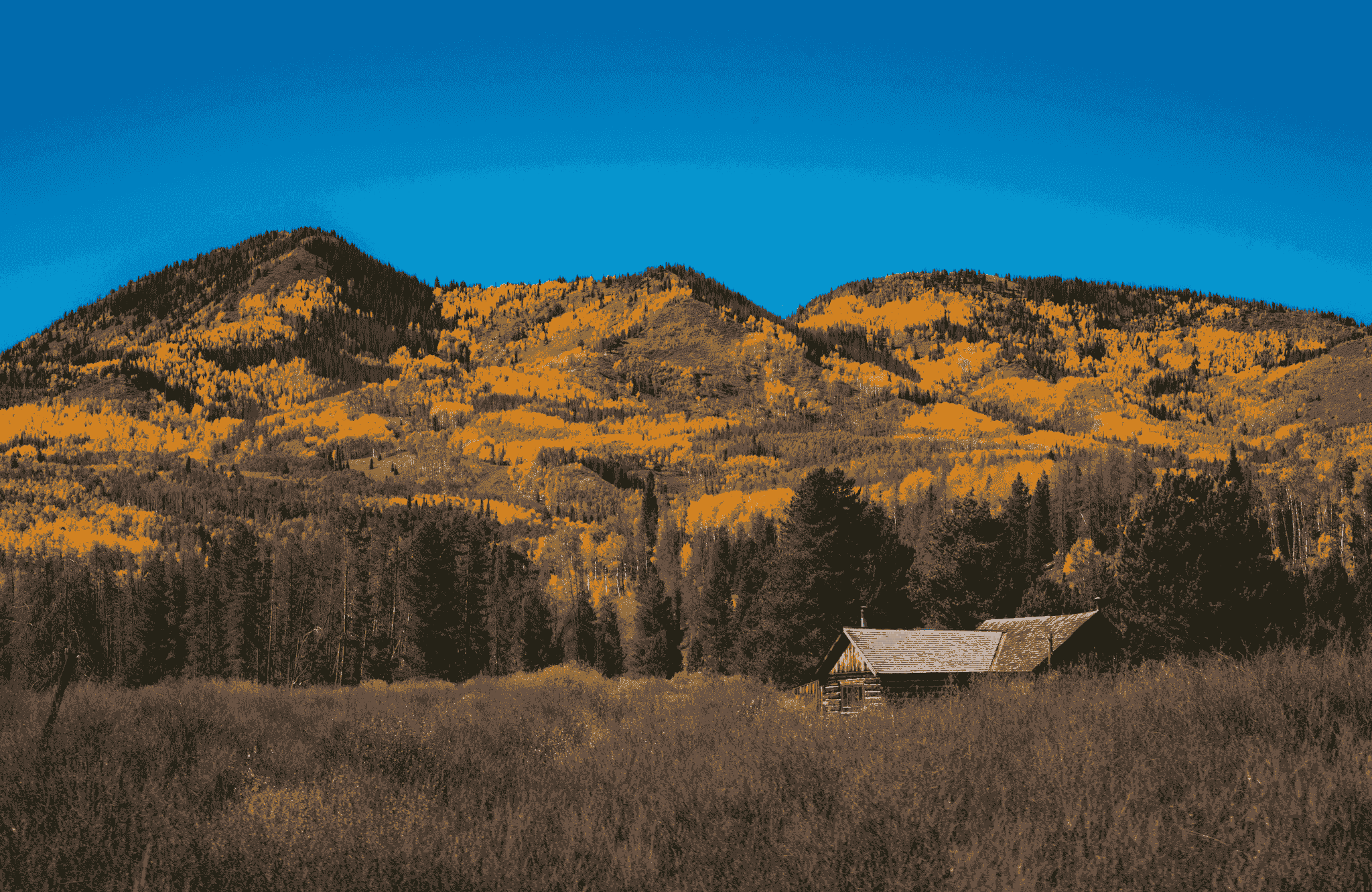 stunning view of an apple cabin house amidst nature