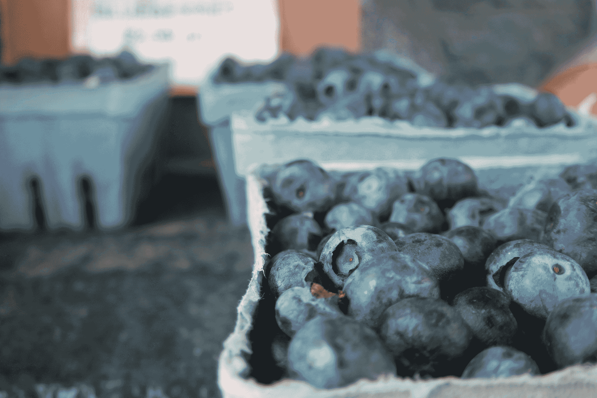 Explore our range of premium quality freeze dried blueberry options.