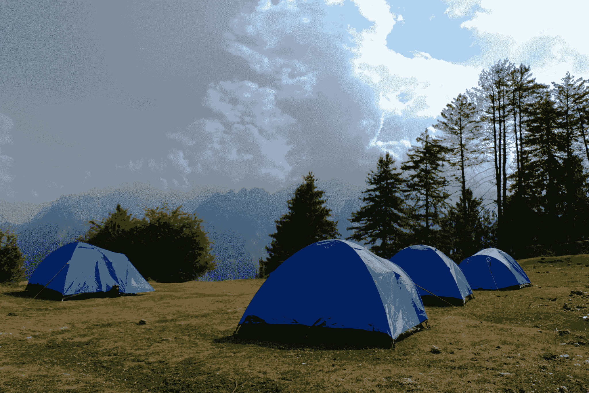 Site accommodation amidst natural beauty at PreFab Inc.