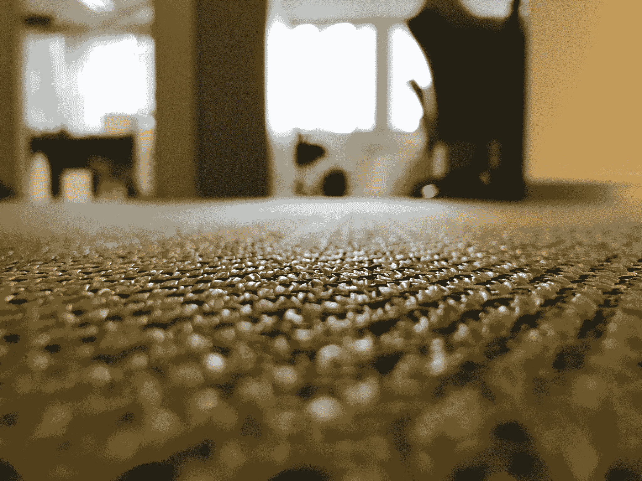 Carpet Inspection and Quality Control Standards