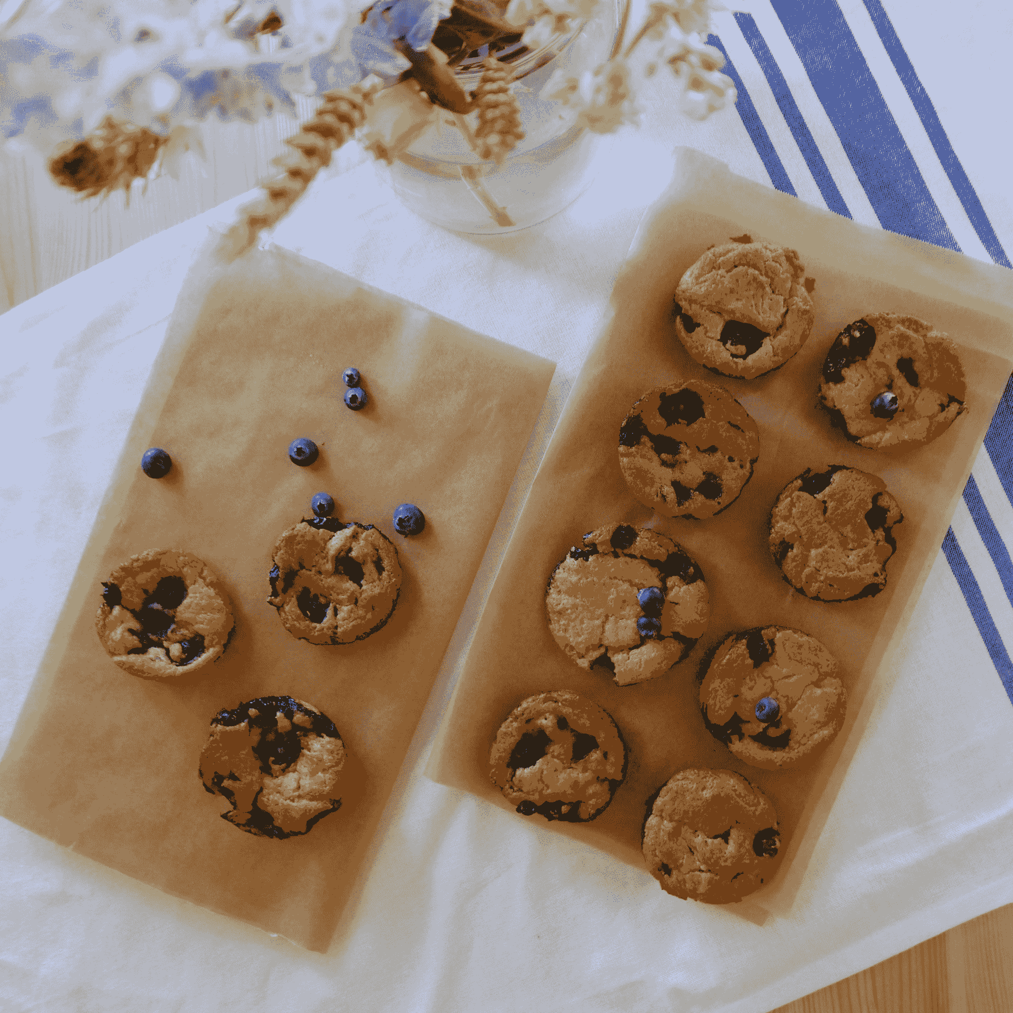 Delicious treats made with freeze dried blueberries bulk