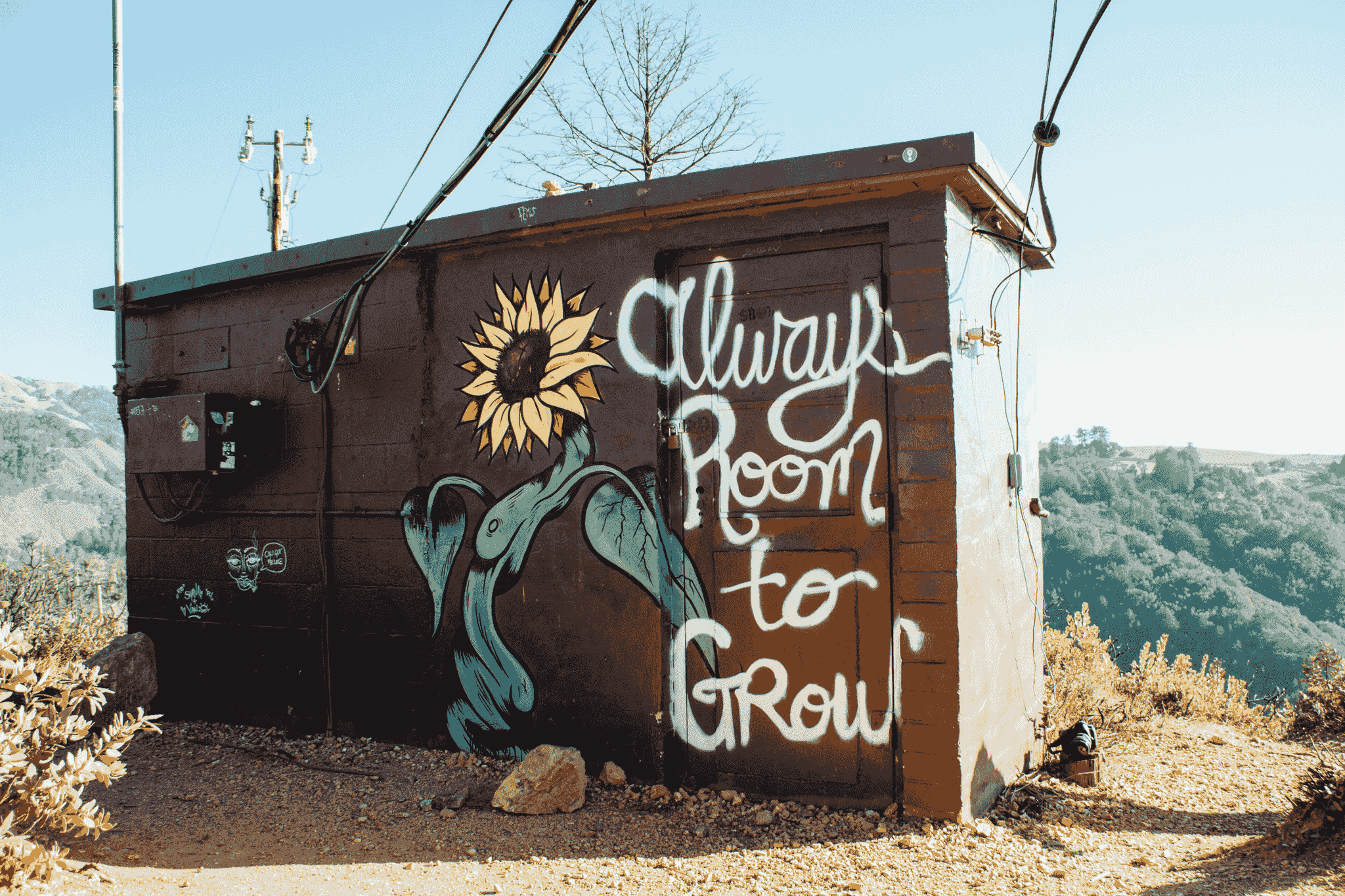 Sustainable living practices in mobile container house community