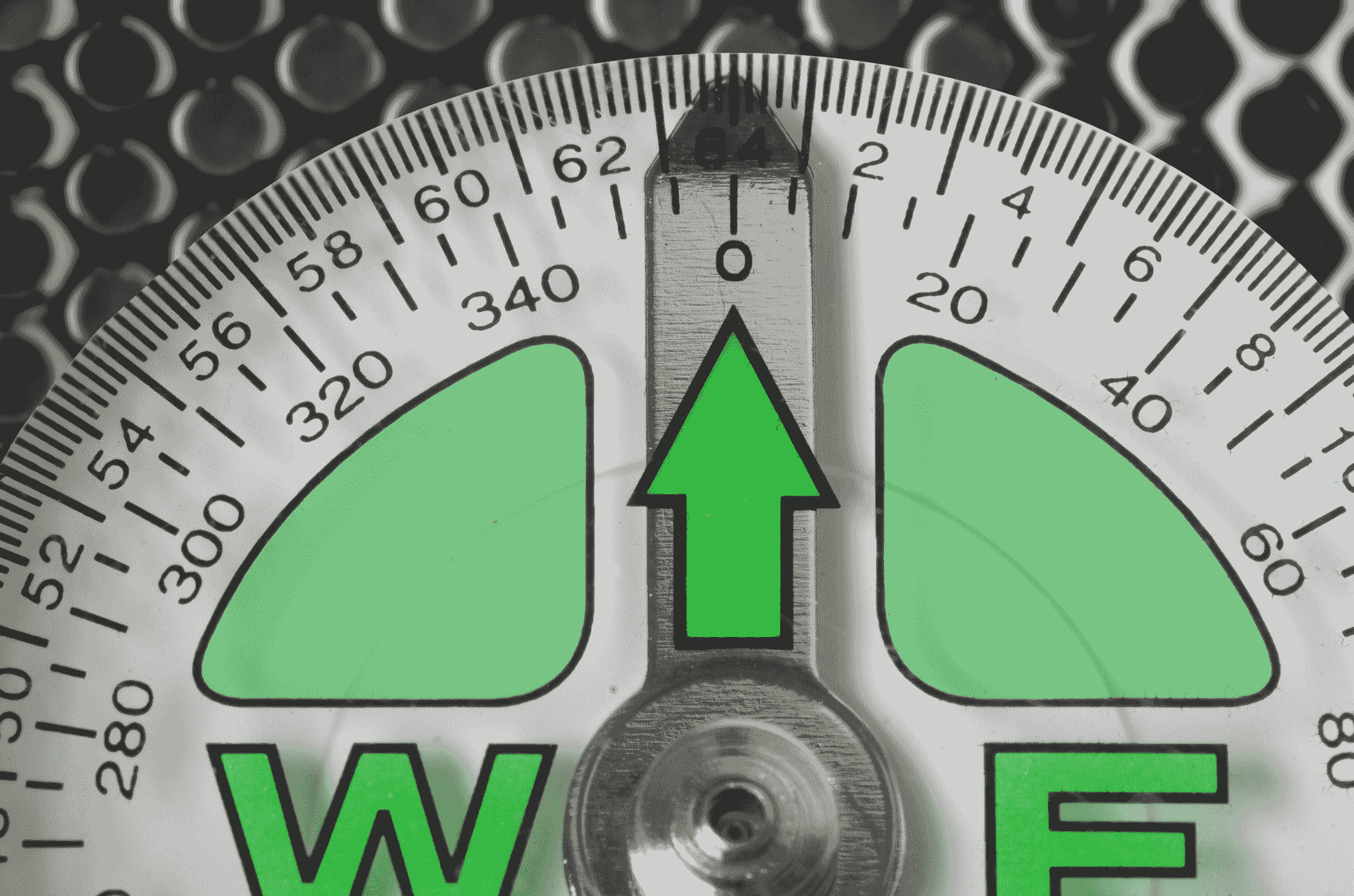 gross weight vs net weight comparison chart