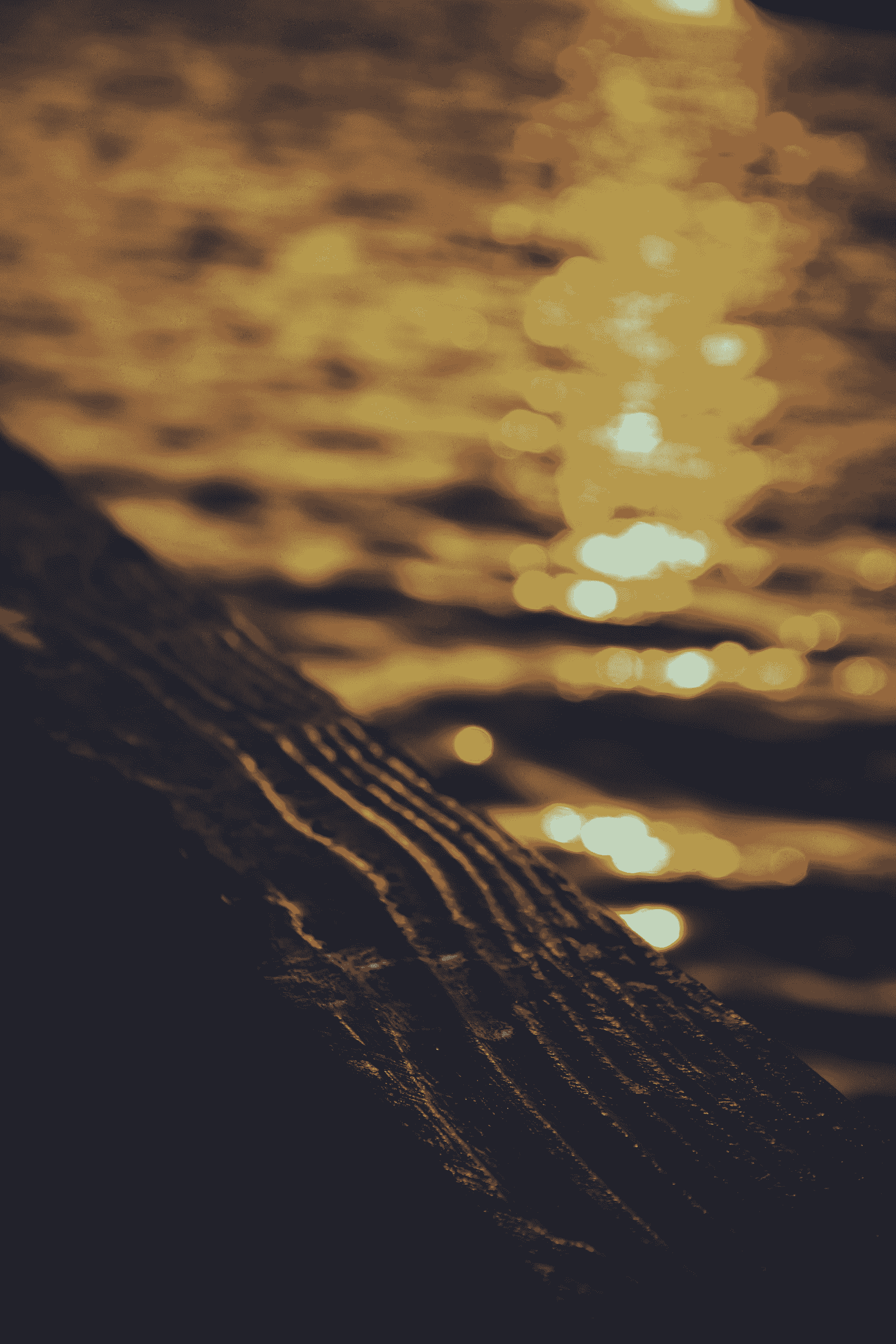 Best wood for dock decking comparison showing composite advantages