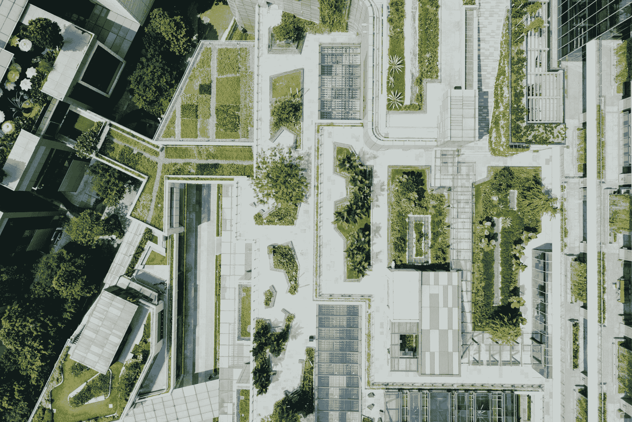 Future Living: A Vibrant Cityscape Embracing Sustainability