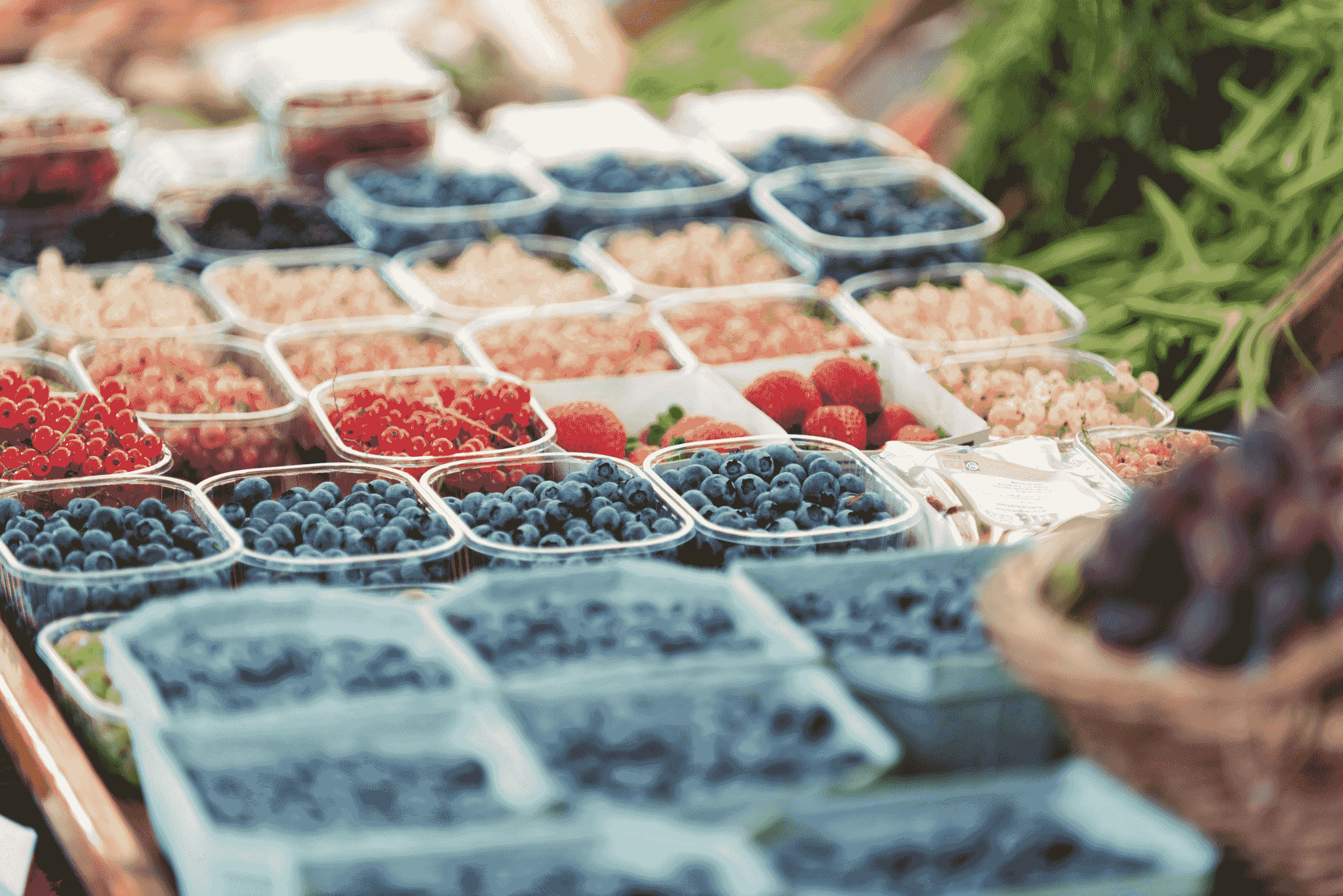 produce packages disposable showcased with vibrant fruits in eco-friendly containers
