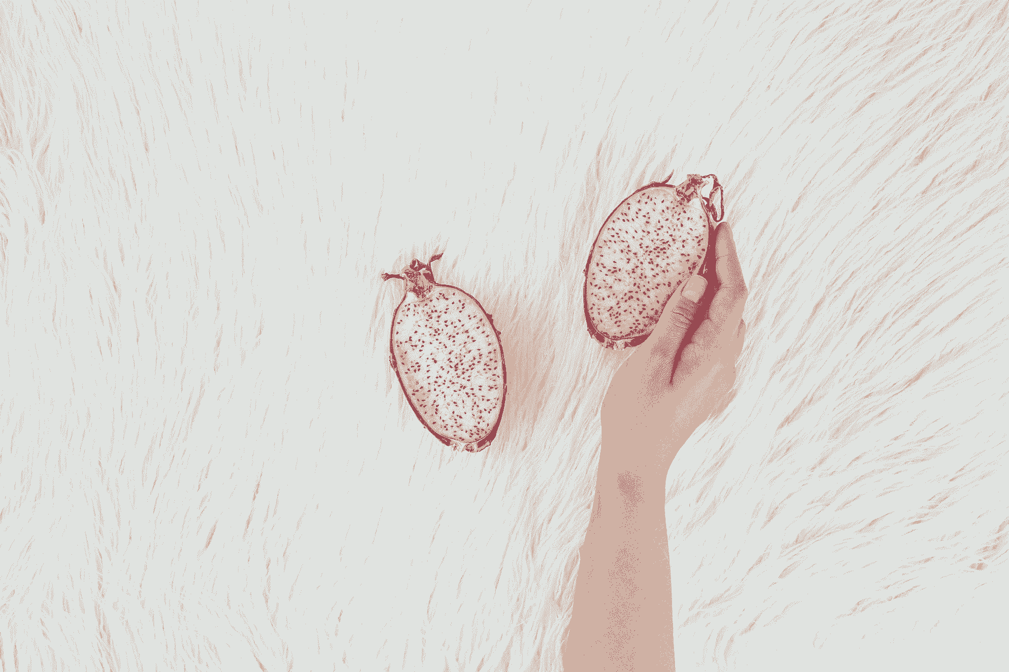 freshly prepared freeze dried dragon fruit pieces