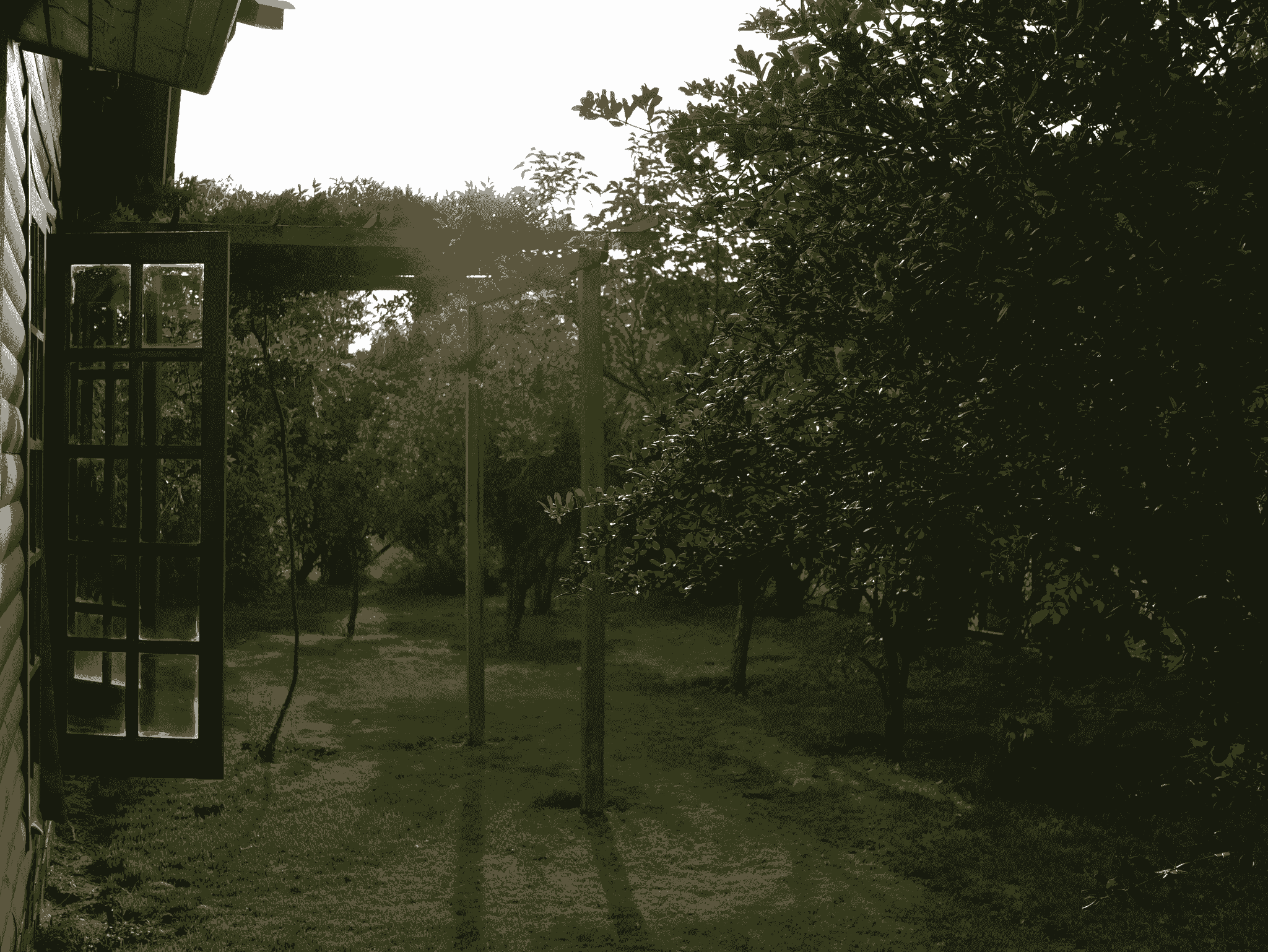 Explore apple cabin price details and benefits today.