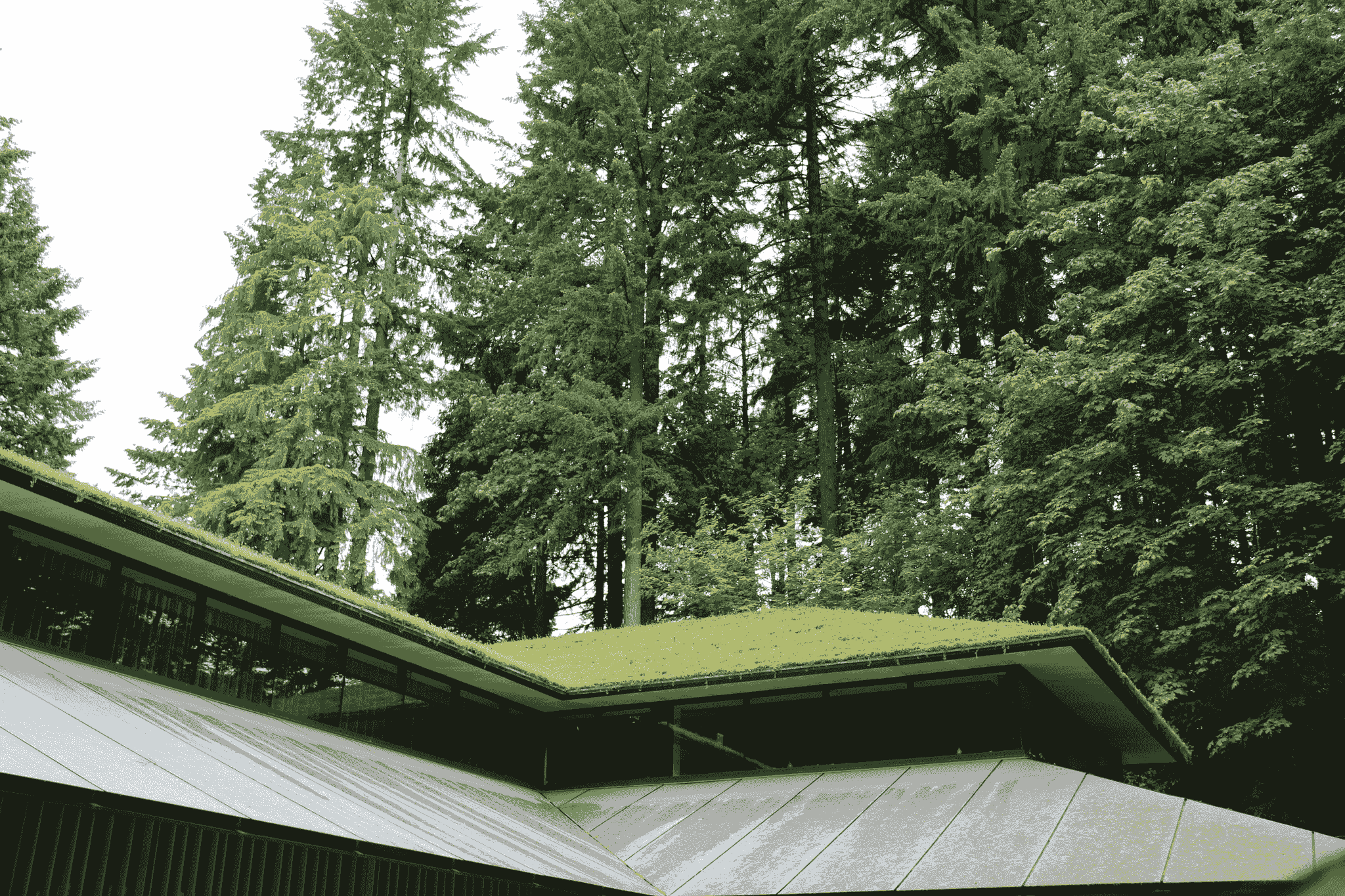 Pre Built Homes with Green Roof Options