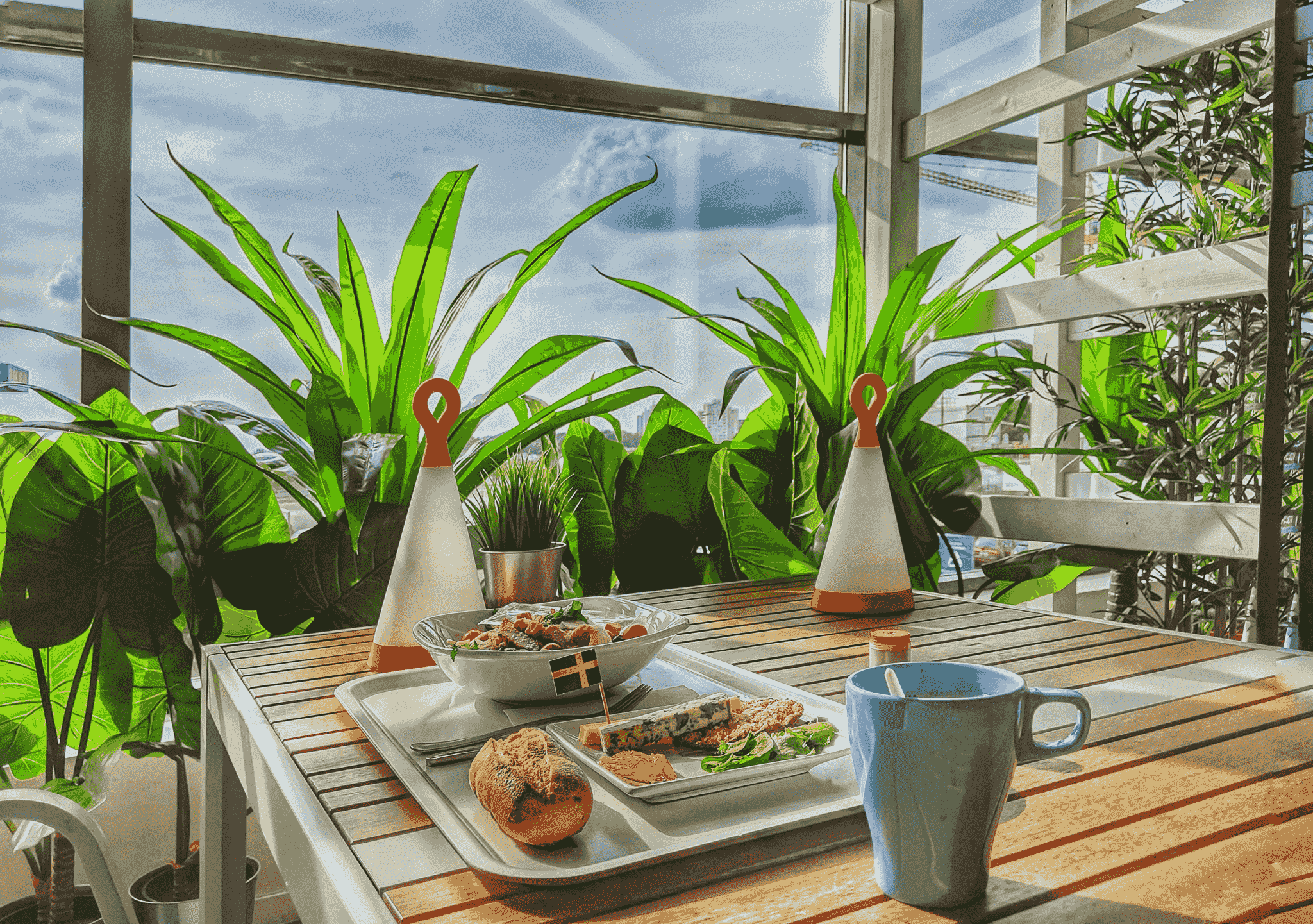 Discover Amazing Designs for Your Cafe in Container