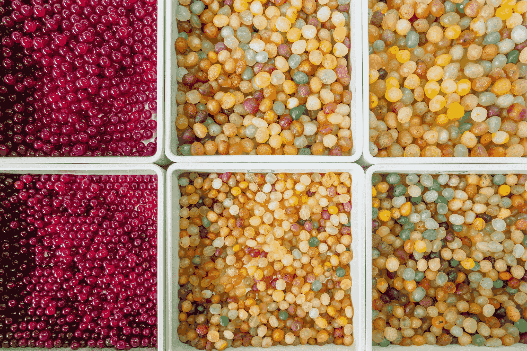 Delicious variety of skittles freeze dried snacks showcased.