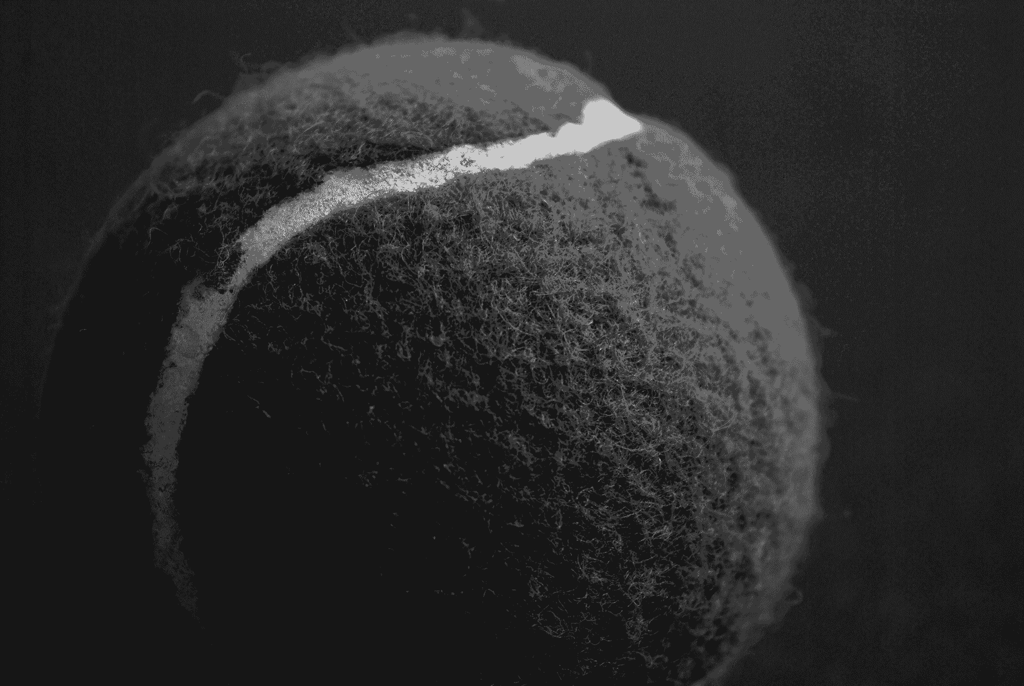 Tennis Ball Inspection and Quality Control