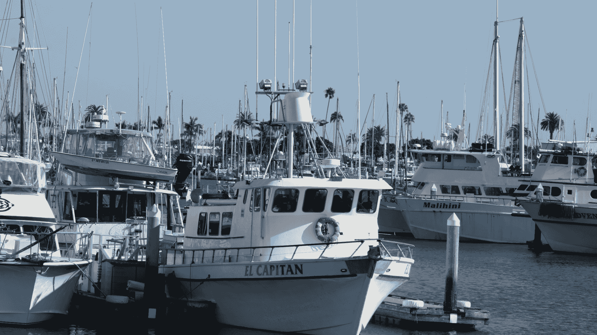 commercial fishing vessels for sale at marina