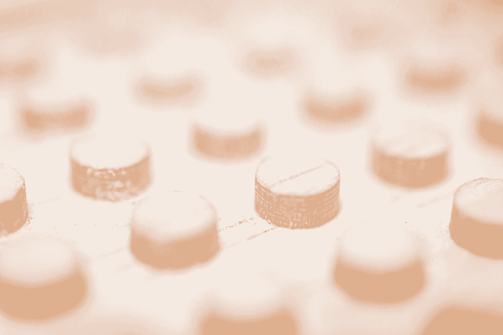 Freeze Drying Advantages Over Vacuum Drying: Explanatio...