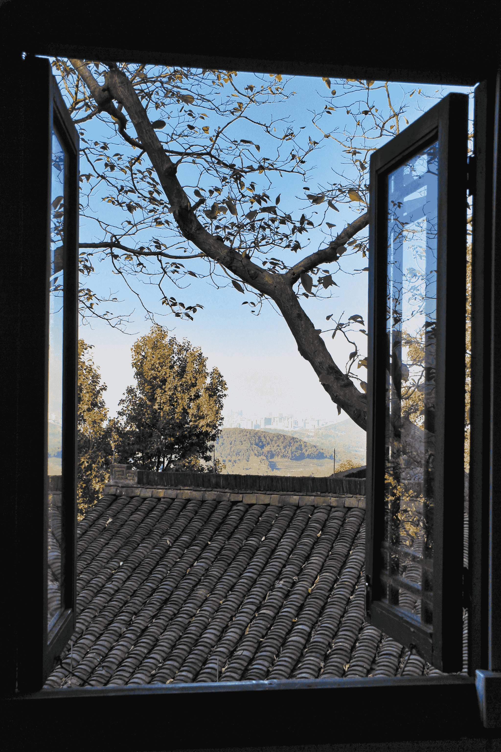 Eco-friendly modern window from China