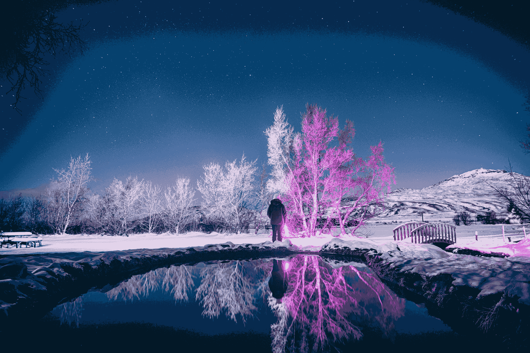 broken image