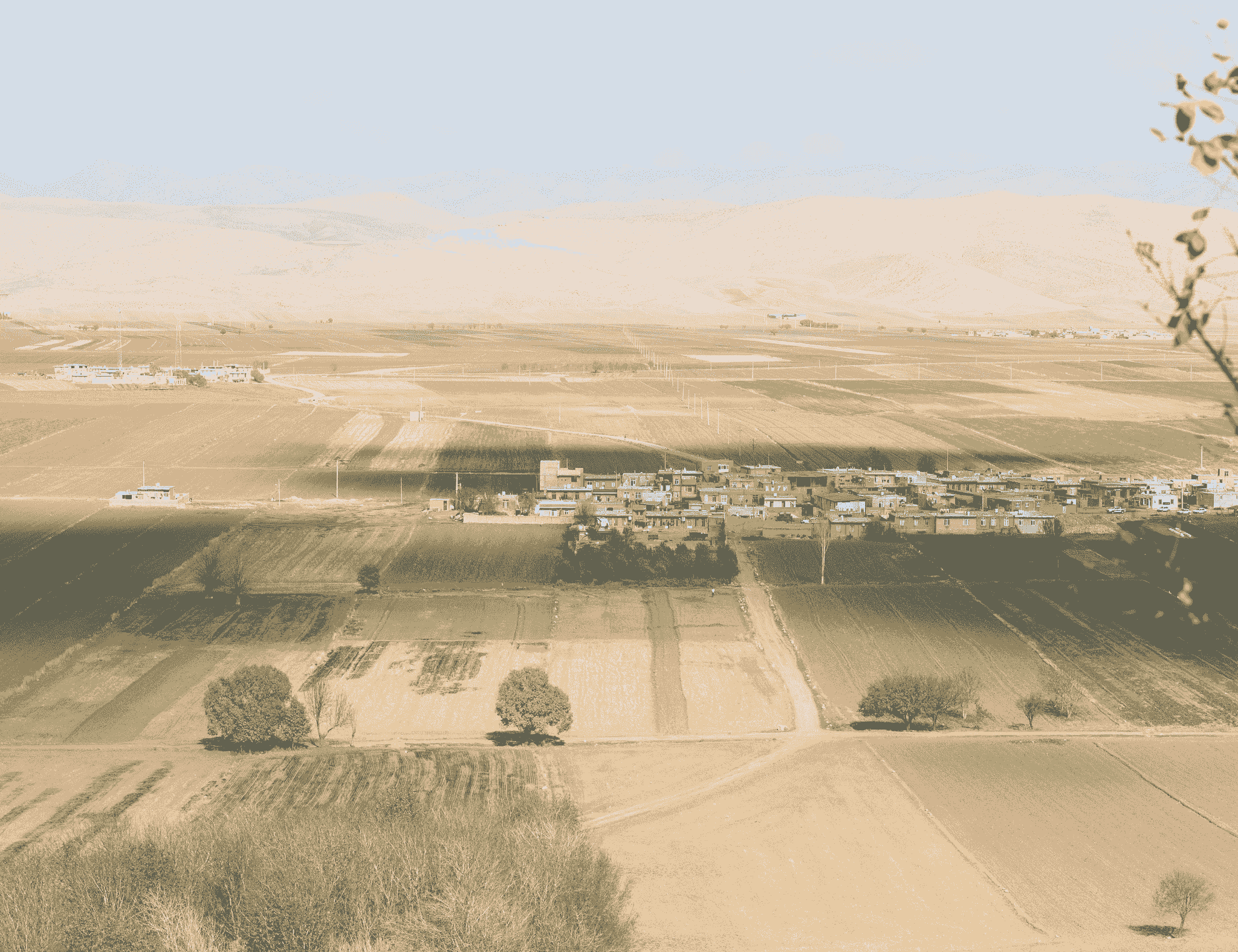 what does china specialize in - agriculture