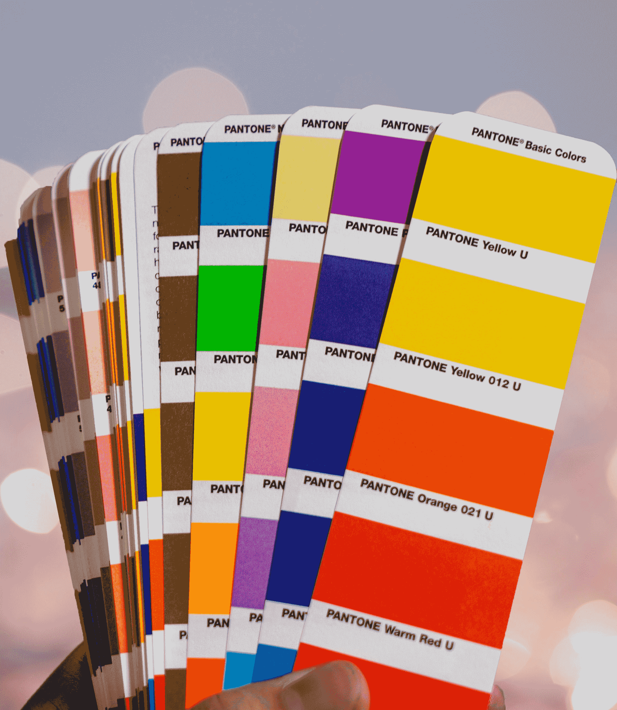 What are Pantone Colors and How Do We Use Them?